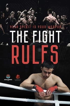The Fight Rules 2017 Hindi Dual Audio 480p WebRip 260MB