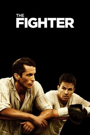 The Fighter (2010) Hindi Dual Audio 720p BluRay [700MB]