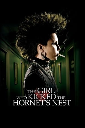 The Girl Who Kicked the Hornet's Nest (2009) Hindi Dual Audio 480p BluRay 450MB