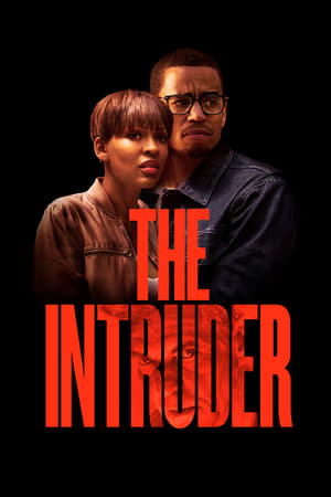 The Intruder (2019) Hindi Dual Audio 720p HDRip [1GB]