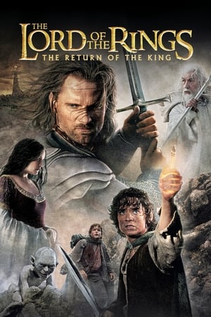The Lord of the Rings: The Return of the King (2003) Hindi Dubbed BluRay 720p [1.8GB] Download