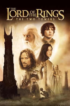 The Lord of the Rings: The Two Towers (2002) Hindi Dubbed BluRay 720p [1.8GB] Download