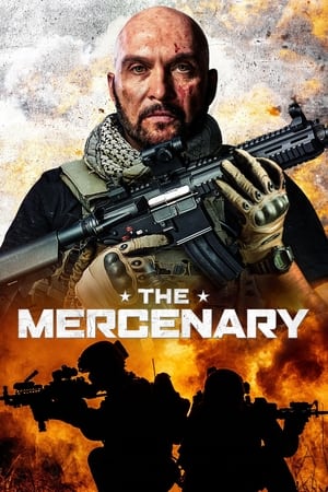 The Mercenary (2019) Hindi Dual Audio 480p BluRay 350MB