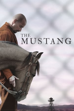 The Mustang (2019) Hindi Dual Audio 480p BluRay 300MB