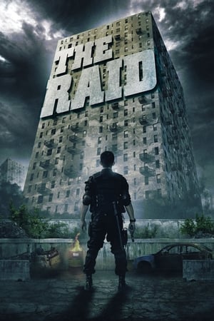 The Raid: Redemption (2011) Hindi Dual Audio 480p BluRay 300MB ESubs