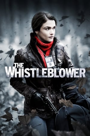 The Whistleblower 2010 Hindi Dual Audio 480p bluRay 350MB