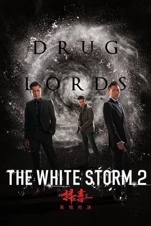 The White Storm 2: Drug Lords (2019) Hindi (Org) 720p HDRip [950MB]