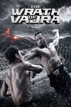 The Wrath of Vajra (2013) Hindi Dual Audio 720p BluRay [900MB]