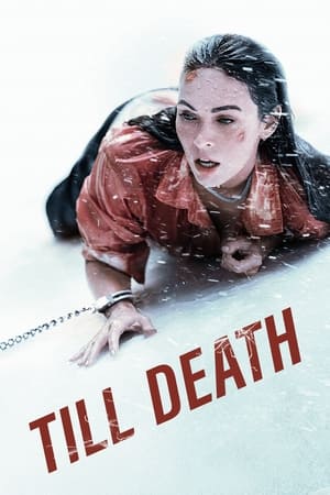 Till Death (2021) Hindi Dual Audio 480p HDRip 350MB