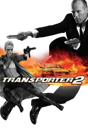 Transporter 2 (2005) Hindi Dual Audio 480p BluRay 300MB