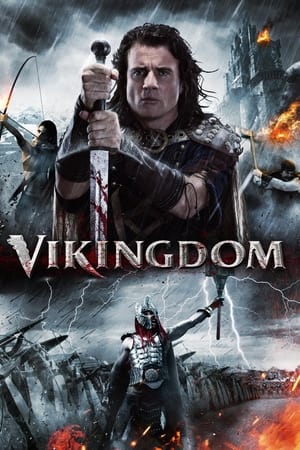 Vikingdom 2013 Hindi Dual Audio 480p BluRay 380MB
