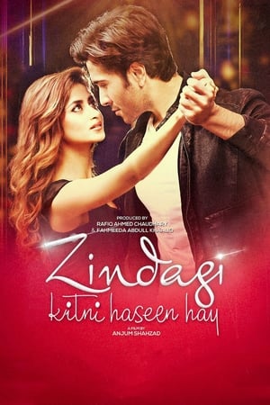 Zindagi Kitni Haseen Hay (2016) Pakistani Movie 720p HDRip x264 [980MB]